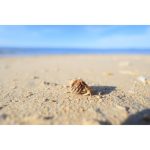 لنز کانن بدون آینه Canon RF 16mm F/2.8 STM - Image 7