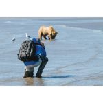 کوله پشتی لوپرو Lowepro Pro Trekker 650 AW Black - تصویر 9